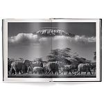 Книга Beusker. Look into my Eyes варинант исполнения - 2 | Loft Concept в Барнауле