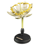 Статуэтка Tilia варинант исполнения - 3 | Loft Concept в Барнауле