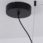 Люстра подвесная светодиодная черный металл Ring Horizontal варинант исполнения - 13 | Loft Concept в Барнауле