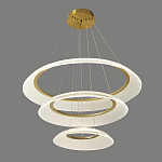 Люстра подвесная с 3-мя кольцевыми светодиодными лампами Catcher варинант исполнения - 1 | Loft Concept в Барнауле