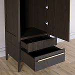 Узкий Шкаф Primo с 2 выдвижными ящиками Темный орех варинант исполнения - 5 | Loft Concept в Барнауле