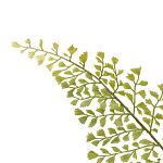 Декоративный искусственное растение Dried flower варинант исполнения - 3 | Loft Concept в Барнауле