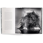 Книга Beusker. Look into my Eyes варинант исполнения - 3 | Loft Concept в Барнауле