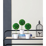 Декоративный искусственное растение Boxwood One варинант исполнения - 9 | Loft Concept в Барнауле