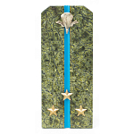 Сувенир Погон Старший Лейтенант ВДВ из натурального камня змеевик Souvenir Epaulets варинант исполнения - 1 | Loft Concept в Барнауле