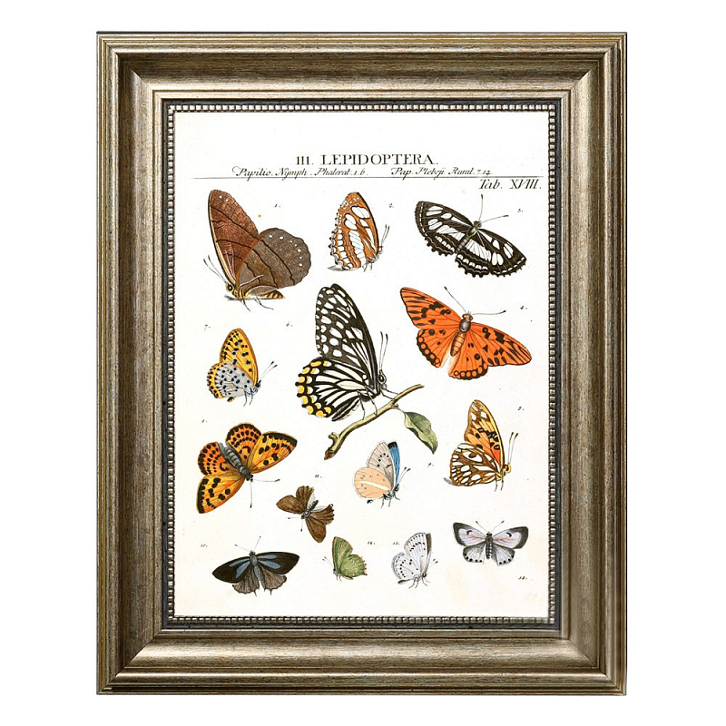 Постер Little Butterflies Постер Little Butterflies в Барнауле | Loft Concept