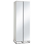 Двухдверный шкаф с зеркальными дверцами Strict Lines варинант исполнения - 5 | Loft Concept в Барнауле