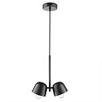 Подвесной светильник черный с 2-мя плафонами Pendant lamp Black варинант исполнения - 1 | Loft Concept в Барнауле