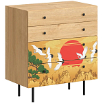 Комод с принтом на ящиках Elise Chest of Drawers варинант исполнения - 4 | Loft Concept в Барнауле