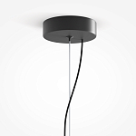 Подвесной светильник Rare grapes варинант исполнения - 4 | Loft Concept в Барнауле