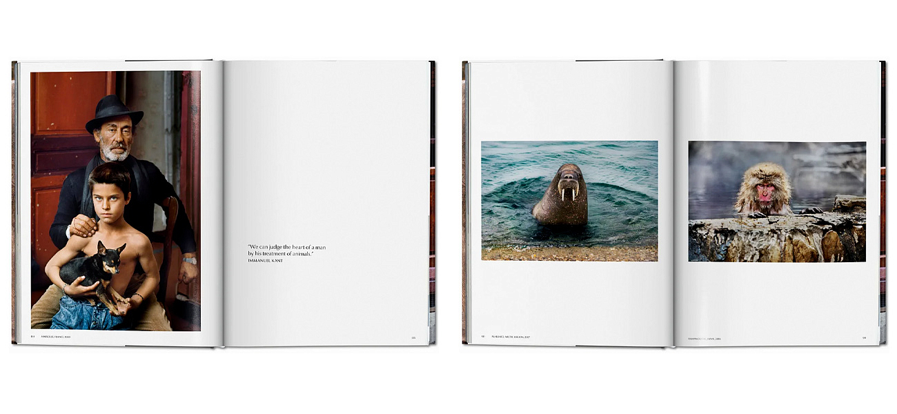 Steve McCurry. Animals Steve McCurry. Animals - Loft-Concept в Барнауле