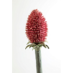 Статуэтка тропический фрукт Pandora Tropical Fruit Orange Red Round варинант исполнения - 3 | Loft Concept в Барнауле