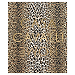 Редкое коллекционное издание Casa Cavalli Home: Celebrating the Roberto Cavalli Lifestyle Леопард варинант исполнения - 1 | Loft Concept в Барнауле