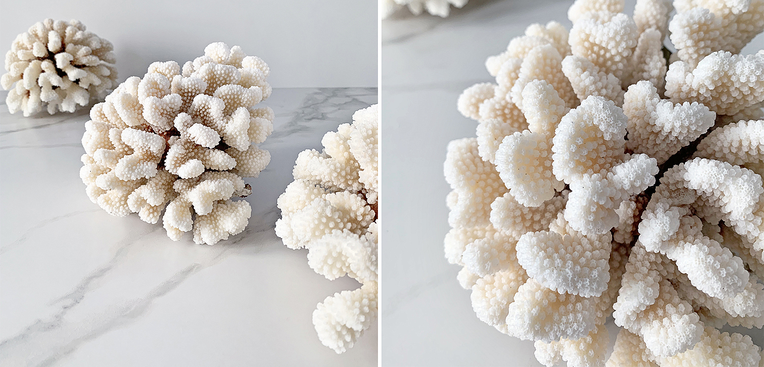 Статуэтка Brownstem Coral Статуэтка Brownstem Coral - Loft-Concept в Барнауле