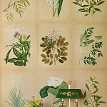 Обои ручная роспись Botanical Studies Linnaeus colourway варинант исполнения - 3 | Loft Concept в Барнауле