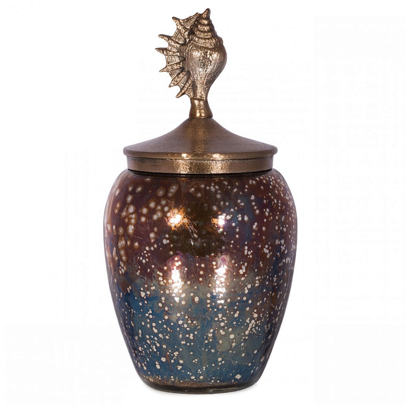 БАНКА С КРЫШКОЙ SEA SHELL COSMOS Золотой Коричневый БАНКА С КРЫШКОЙ SEA SHELL COSMOS Золотой Коричневый в Барнауле | Loft Concept