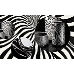 Редкое коллекционное издание Casa Cavalli Home: Celebrating the Roberto Cavalli Lifestyle Зебра варинант исполнения - 4 | Loft Concept в Барнауле