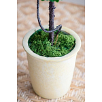 Декоративный искусственное растение Single boxwood варинант исполнения - 6 | Loft Concept в Барнауле