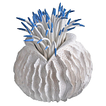 Статуэтка тропический фрукт Tropical Fruit White Blue варинант исполнения - 2 | Loft Concept в Барнауле