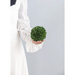 Декоративный искусственное растение Small boxwood варинант исполнения - 3 | Loft Concept в Барнауле