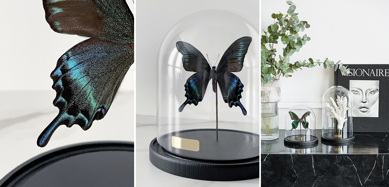 Статуэтка Butterfly Sailboat Maaka Glass Cloche Статуэтка Butterfly Sailboat Maaka Glass Cloche - Loft-Concept в Барнауле