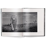 Книга Beusker. Look into my Eyes варинант исполнения - 1 | Loft Concept в Барнауле