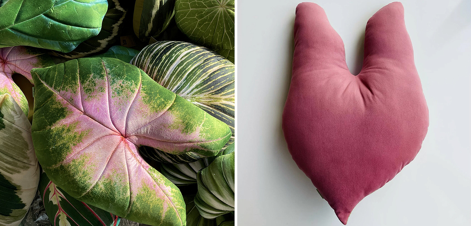 Декоративная подушка Botanical Cushion Caladium Bicolor Декоративная подушка Botanical Cushion Caladium Bicolor - Loft-Concept в Барнауле