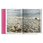 Книга Gisele Bundchen варинант исполнения - 9 | Loft Concept в Барнауле