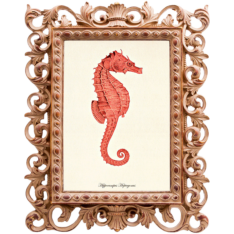 Постер Red Seahorse Poster Бежевый Красный Постер Red Seahorse Poster Бежевый Красный в Барнауле | Loft Concept
