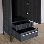 Узкий Шкаф Primo с 2 выдвижными ящиками Черный дуб варинант исполнения - 5 | Loft Concept в Барнауле