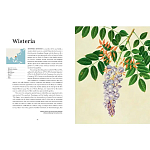 Прекрасно иллюстрированная книга более 100 ботанических произведений Plant Hunters Atlas варинант исполнения - 4 | Loft Concept в Барнауле