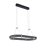 Люстра светодиодная в форме овала из акрила и алюминия с пультом для регулировки света Ring Horizontal Anthracite варинант исполнения - 2 | Loft Concept в Барнауле