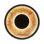 Бра круглое Gold Sun Lighting  варинант исполнения - 1 | Loft Concept в Барнауле