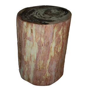 Стул из окаменелого дерева SWS004