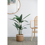 Декоративный искусственное растение Decor Stile  варинант исполнения - 5 | Loft Concept в Барнауле