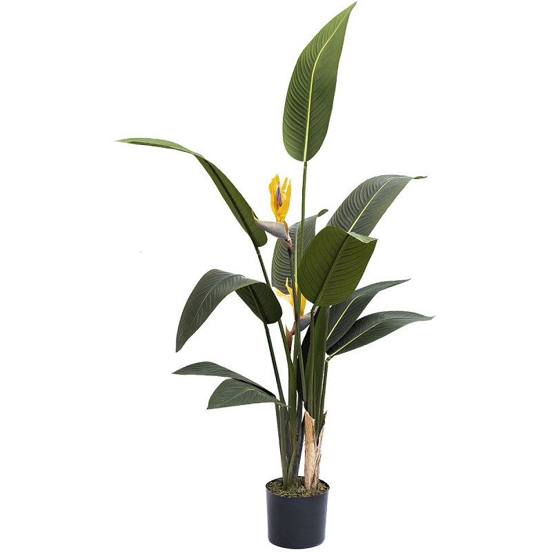 Искусственная Strelitzia Reginae Зеленый Искусственная Strelitzia Reginae Зеленый в Барнауле | Loft Concept